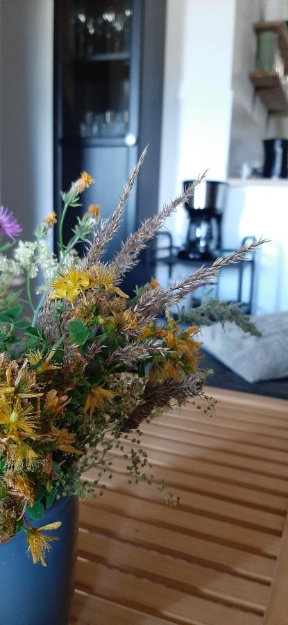 Apartament Czar-Now Czarnow  外观 照片